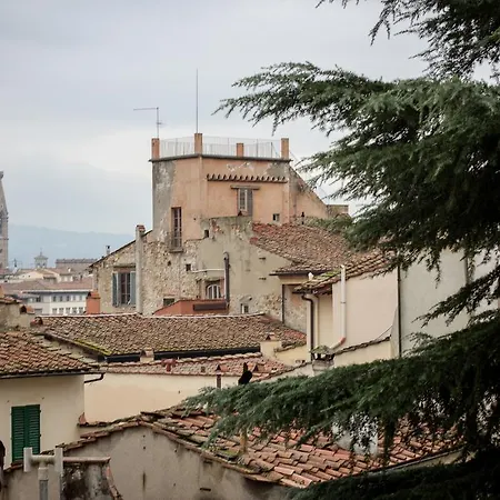 Magnoli Gold Apartment
